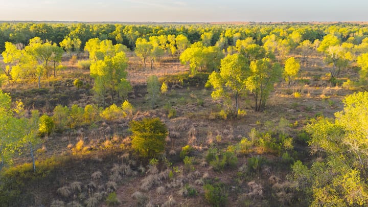 Dji 20260917090815 0087 D