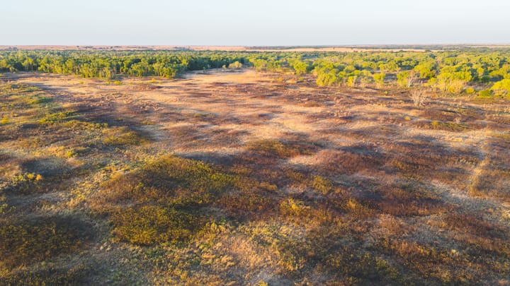 Dji 20260917090256 0079 D