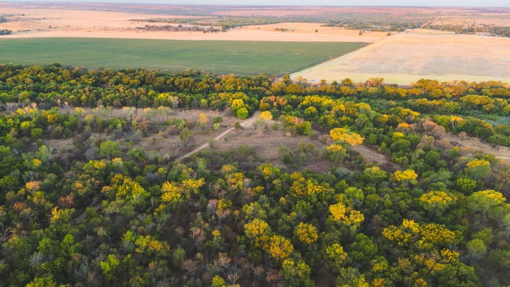 Dji 20260917085126 0054 D