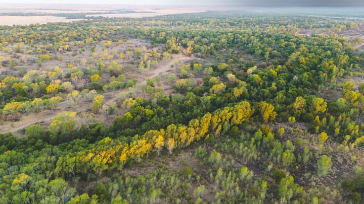 Dji 20260917084914 0044 D