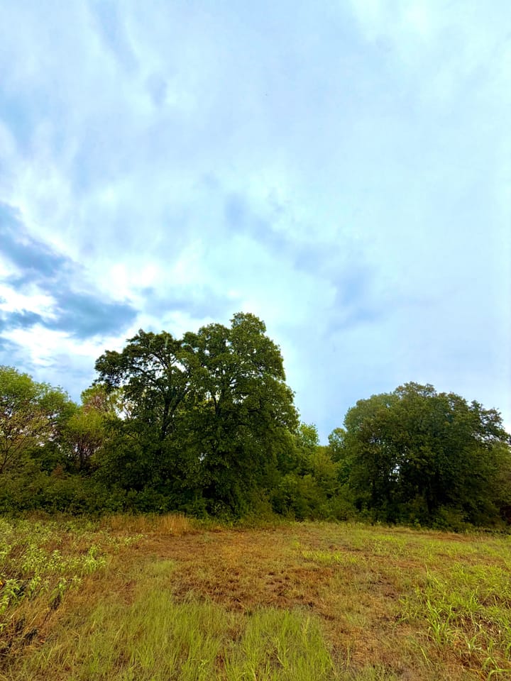 Img 0974 Jpeg