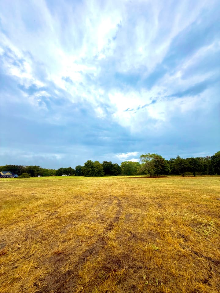 Img 0970 Jpeg