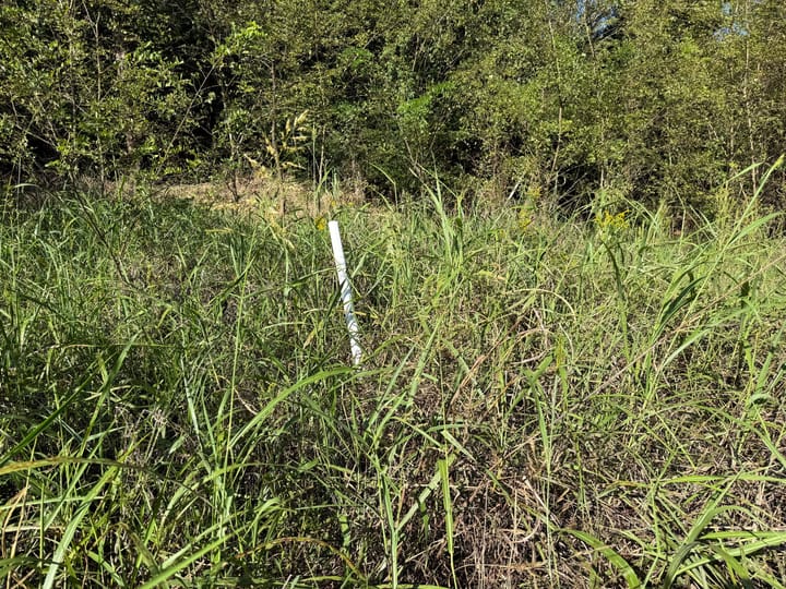 Img 5060 Jpeg