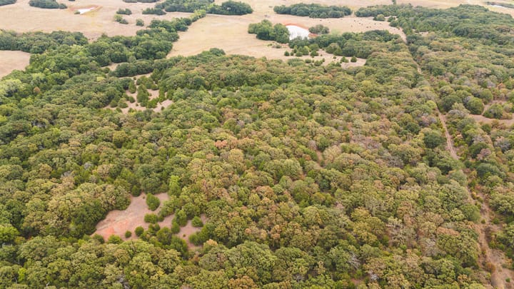Dji 20260929105408 0110 D