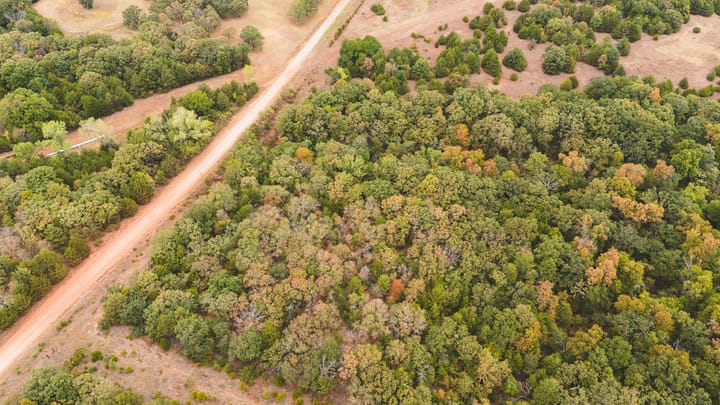 Dji 20260929105706 0120 D
