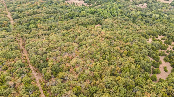 Dji 20260929105612 0116 D