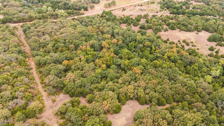 Dji 20260929105645 0119 D