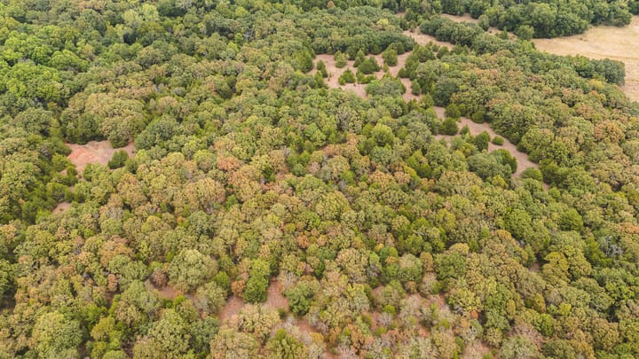Dji 20260929105629 0118 D