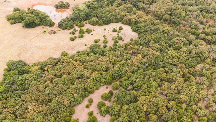 Dji 20260929105428 0111 D