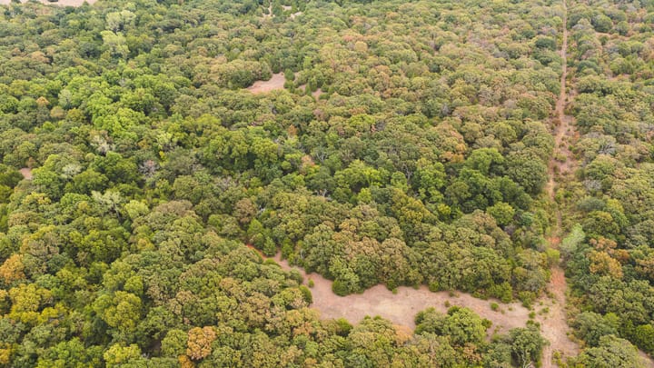 Dji 20260929105355 0109 D
