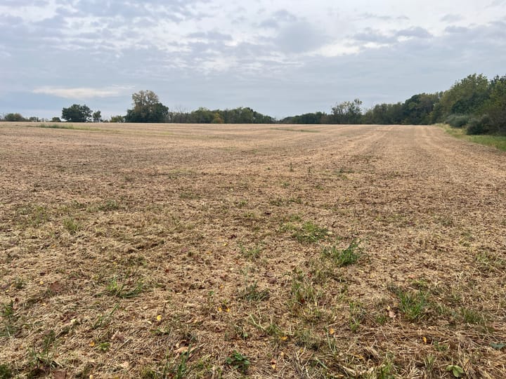Brown Il 60 Acres Land For Sale Property14 Jpg