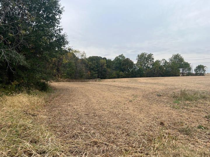 Brown Il 60 Acres Land For Sale Property16 Jpg