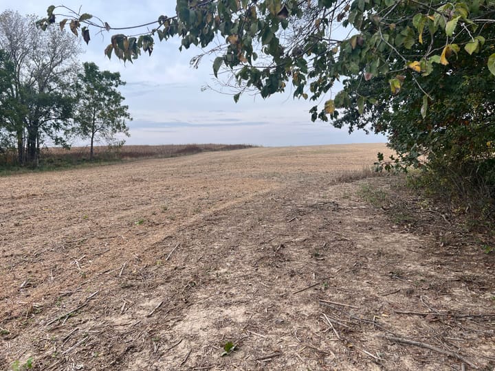 Brown Il 60 Acres Land For Sale Property17 Jpg