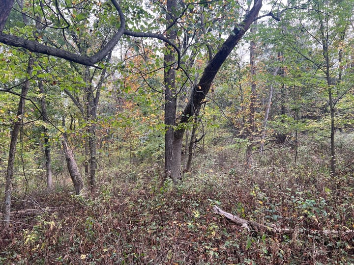 Brown Il 60 Acres Land For Sale Property12 Jpg