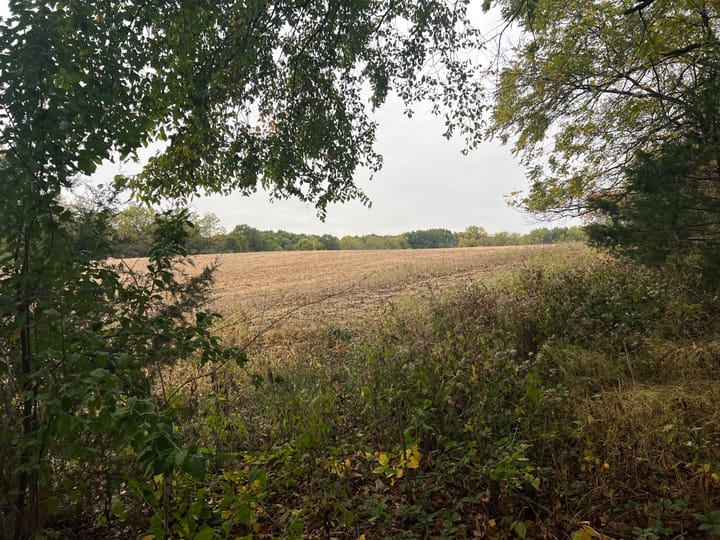 Brown Il 60 Acres Land For Sale Property9 Jpg