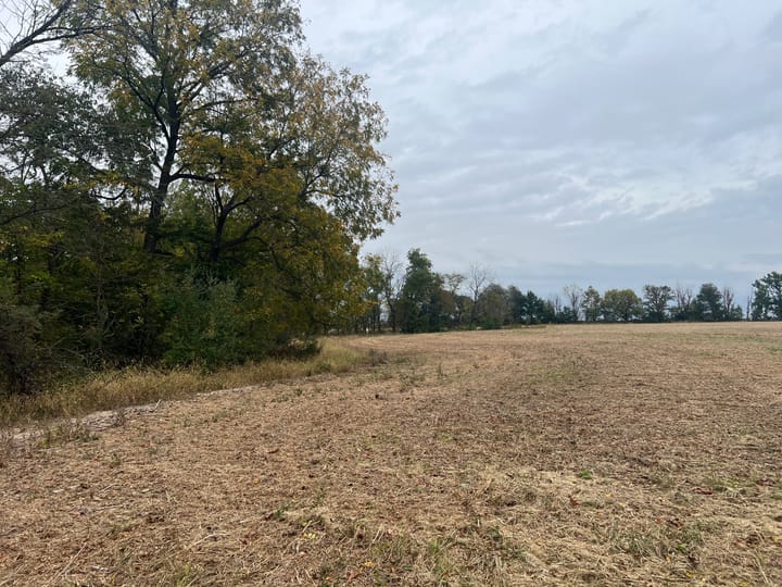 Brown Il 60 Acres Land For Sale Property15 Jpg