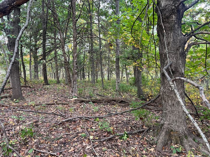Brown Il 60 Acres Land For Sale Property5 Jpg