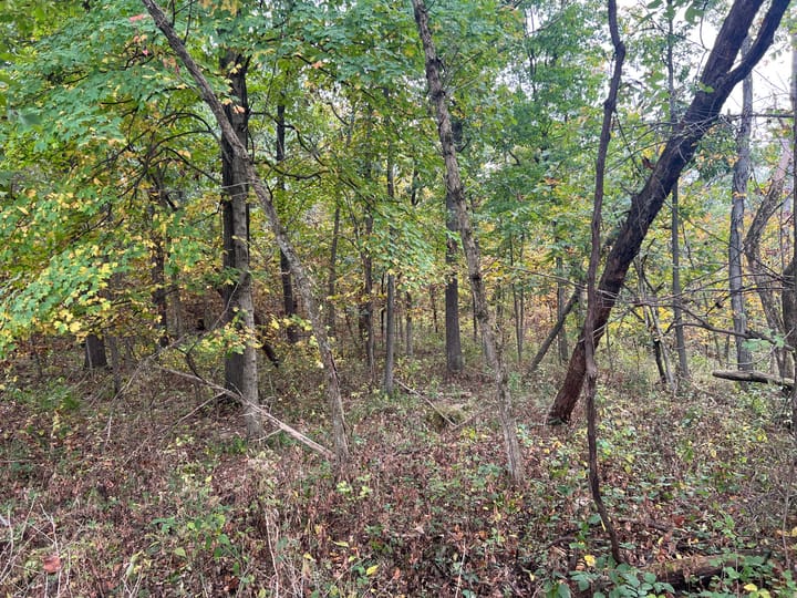 Brown Il 60 Acres Land For Sale Property11 Jpg