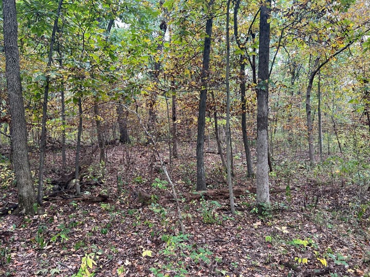 Brown Il 60 Acres Land For Sale Property13 Jpg