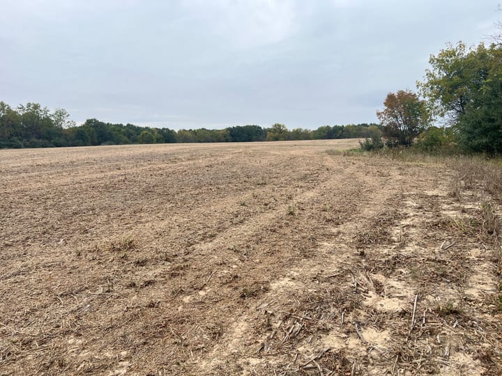 Brown Il 60 Acres Land For Sale Property10 Jpg