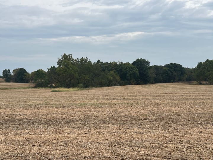 Brown Il 60 Acres Land For Sale Property19 Jpg