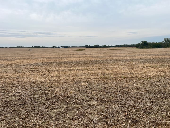 Brown Il 60 Acres Land For Sale Property18 Jpg