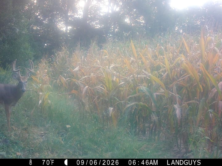 Img 0103 Mp4 00 00 04 26 Still001