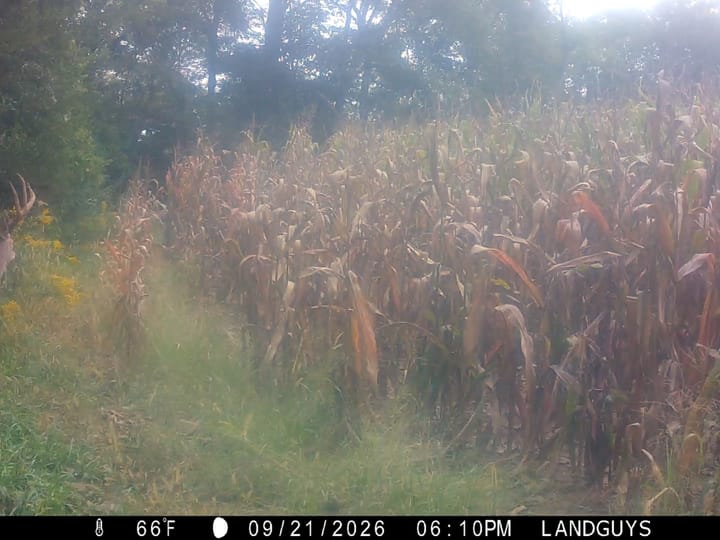 Img 0185 Mp4 00 00 00 00 Still001