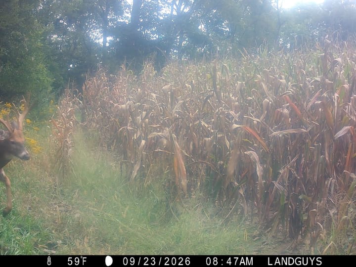 Img 0200 Mp4 00 00 00 11 Still001