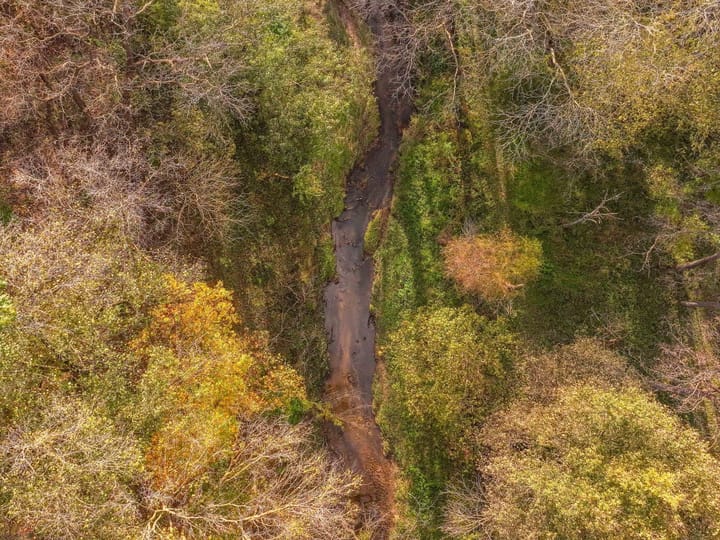 Dji 20261020054418 0101 D