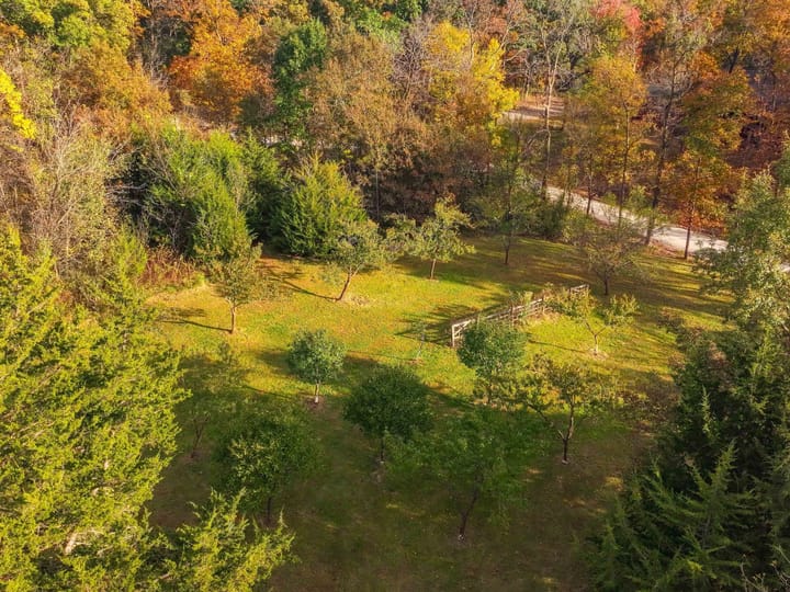 Dji 20261020054527 0105 D