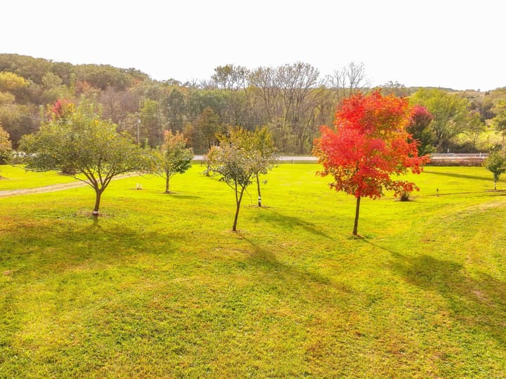 Dji 20261020052640 0047 D