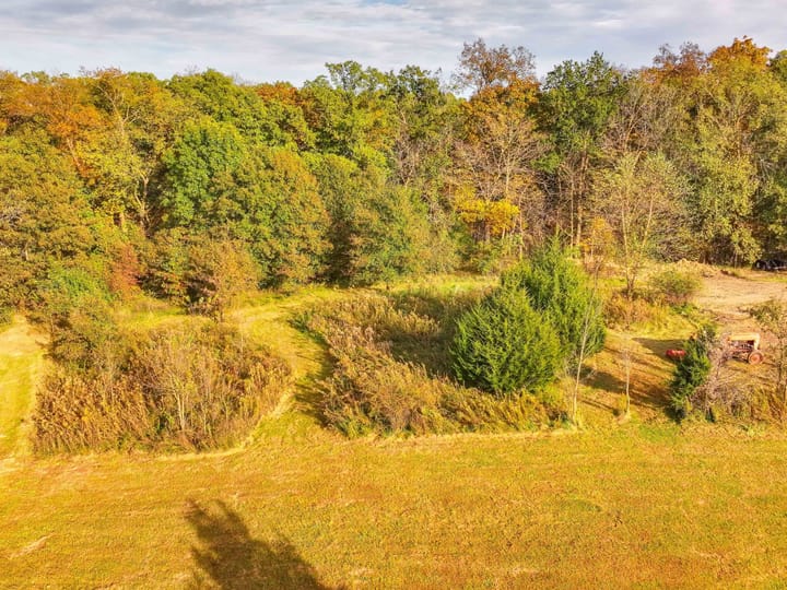 Dji 20261020053531 0077 D