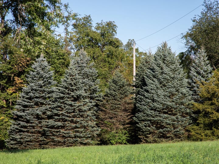 Bureau Il 42 5 Acres Land For Sale Wc Property3