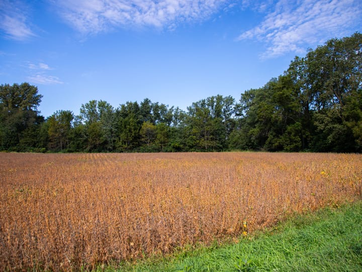 Bureau Il 42 5 Acres Land For Sale Wc Property16