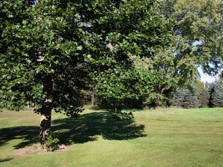 Bureau Il 42 5 Acres Land For Sale Wc Property6