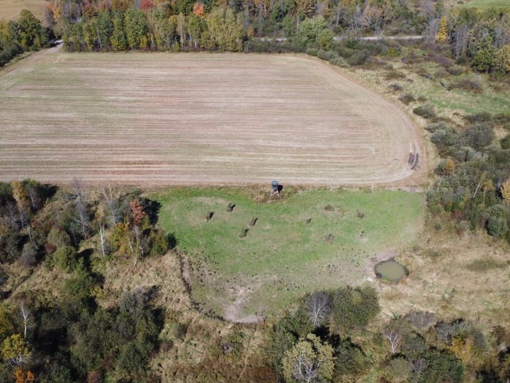 Wood Wi 84 Acres Land For Sale Aerials9 Jpg