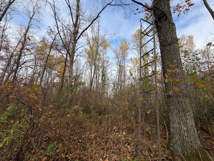 Wood Wi 84 Acres Land For Sale Property12 Jpg
