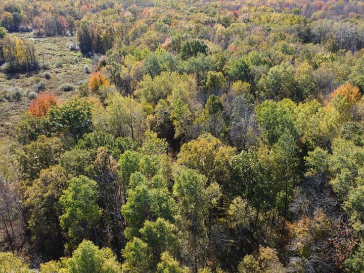 Wood Wi 84 Acres Land For Sale Aerials7 Jpg