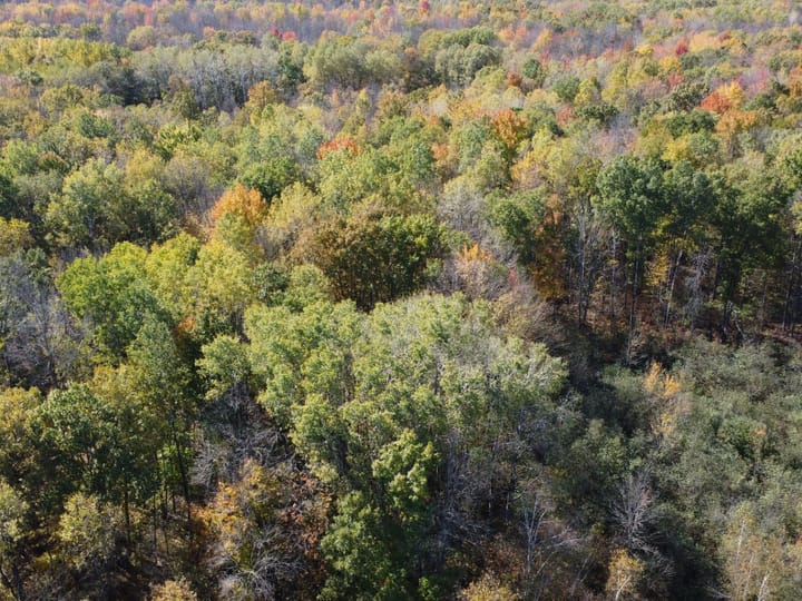 Wood Wi 84 Acres Land For Sale Aerials8 Jpg