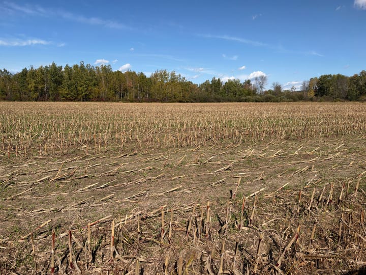 Wood Wi 84 Acres Land For Sale Property4 Jpg