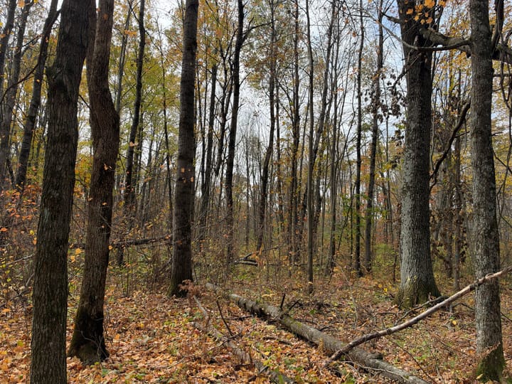Wood Wi 84 Acres Land For Sale Property19 Jpg