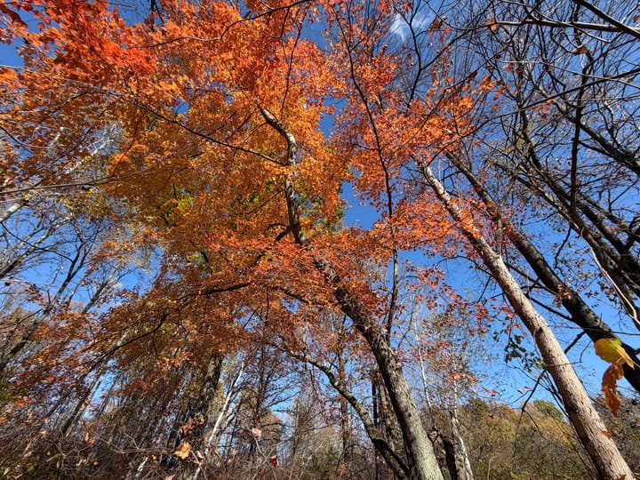 Wood Wi 84 Acres Land For Sale Property25 Jpg