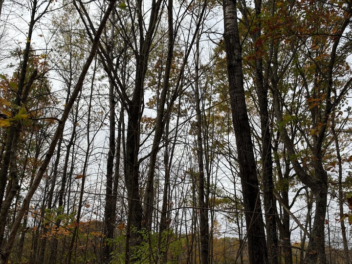 Wood Wi 84 Acres Land For Sale Property10 Jpg