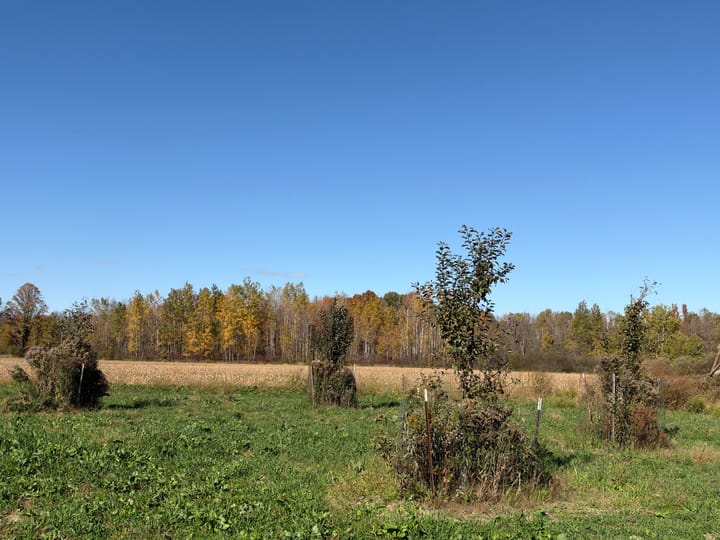 Wood Wi 84 Acres Land For Sale Property27 Jpg