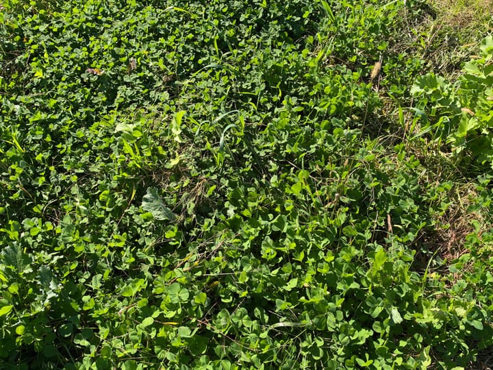 Wood Wi 84 Acres Land For Sale Property1 Jpg