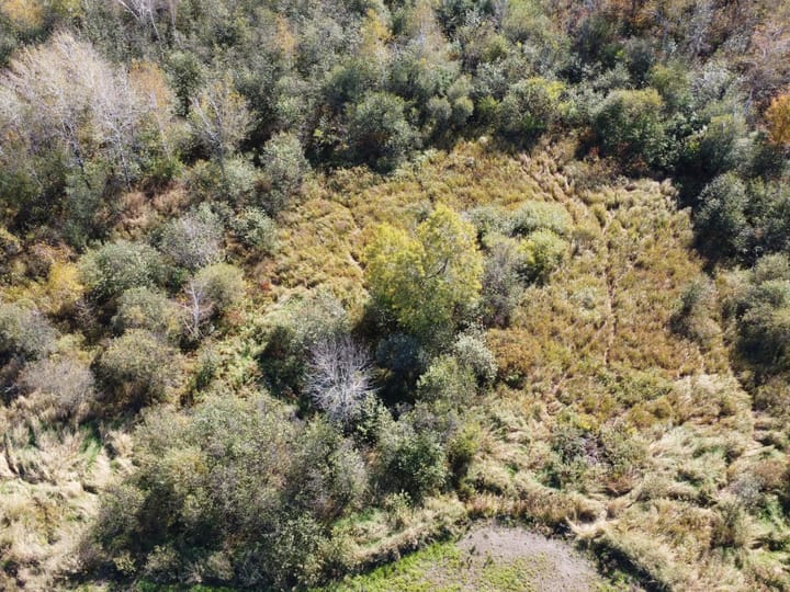 Wood Wi 84 Acres Land For Sale Aerials4 Jpg