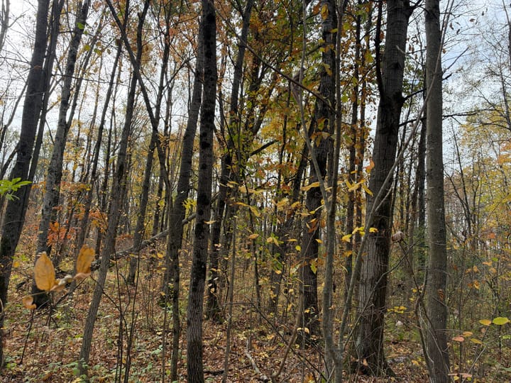 Wood Wi 84 Acres Land For Sale Property18 Jpg