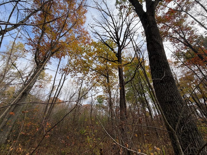 Wood Wi 84 Acres Land For Sale Property13 Jpg