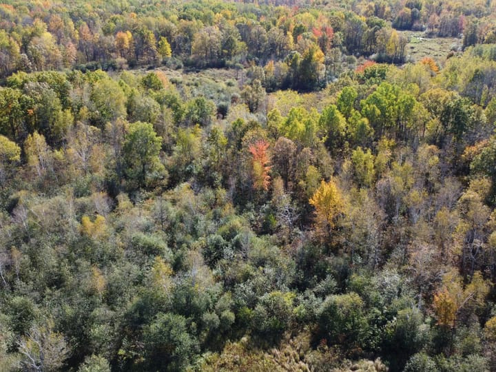 Wood Wi 84 Acres Land For Sale Aerials6 Jpg